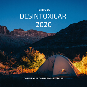 Desintoxicar
