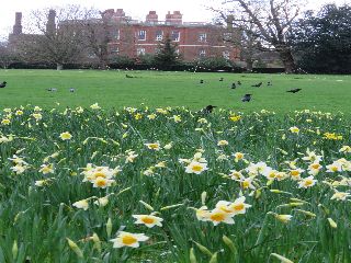Greenwich Park Sul